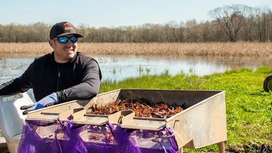 louisiana-crawfish-company-image-hr.webp