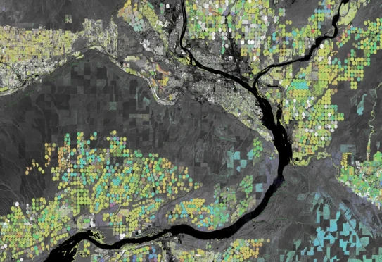 Image Earth Engine obtenue par satellite, montrant les pics d'activité agricole saisonniers à proximité du fleuve Columbia et de la rivière Snake, dans l'État de Washington. Les champs parfaitement circulaires sont des cultures de maïs et de soja avec irrigation à pivot central, arrivant à maturation sur différents mois.