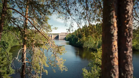 Muhos Forest