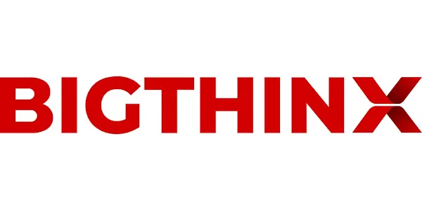 Bigthinx