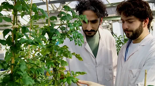 The Sainsbury Laboratory