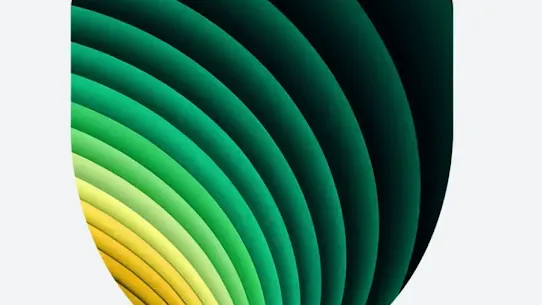 A layered green and yellow shield icon.