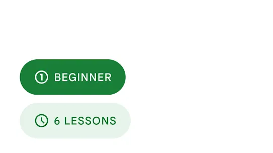 beginner-6-lessons.webp