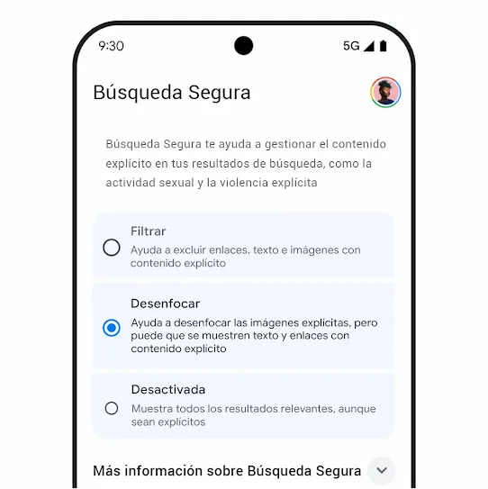 Imagen de Búsqueda Segura