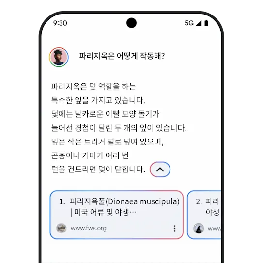 Gemini 관련 링크 그래픽