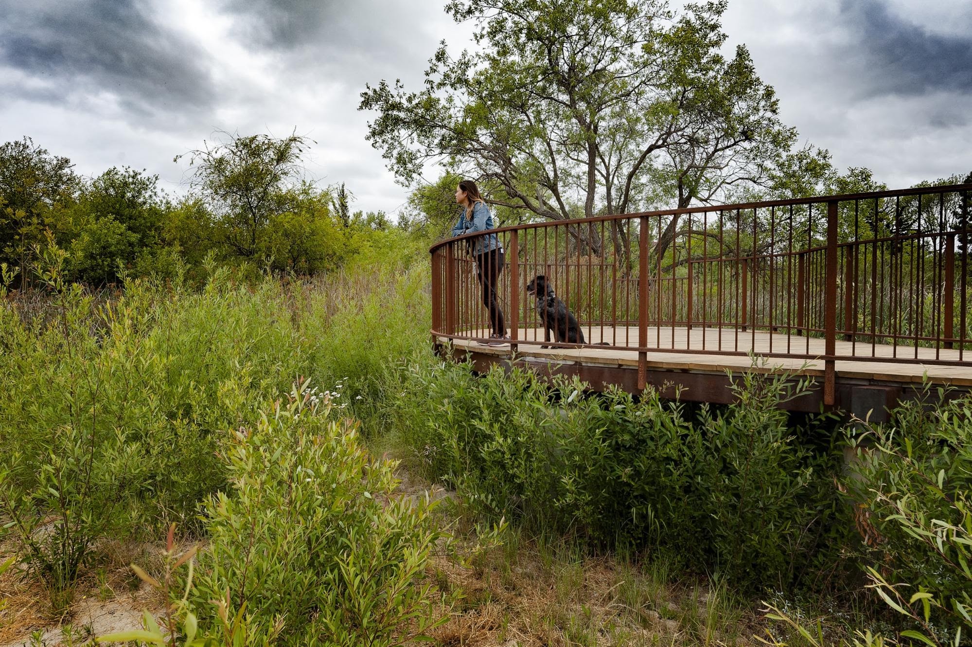 Person and dog overlooking bench at the Charleston Retention Basin.