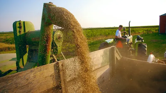 ANEAI Economy Agriculture 