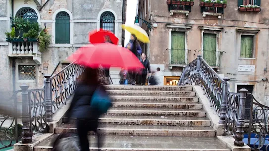 walks-of-italy-boosts-revenue-and-roi-with-data-driven-attribution-and-automated-bidding.webp