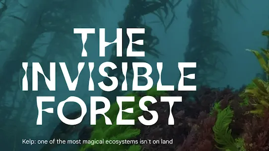 White text "The invisible forest" on image of kelp in water