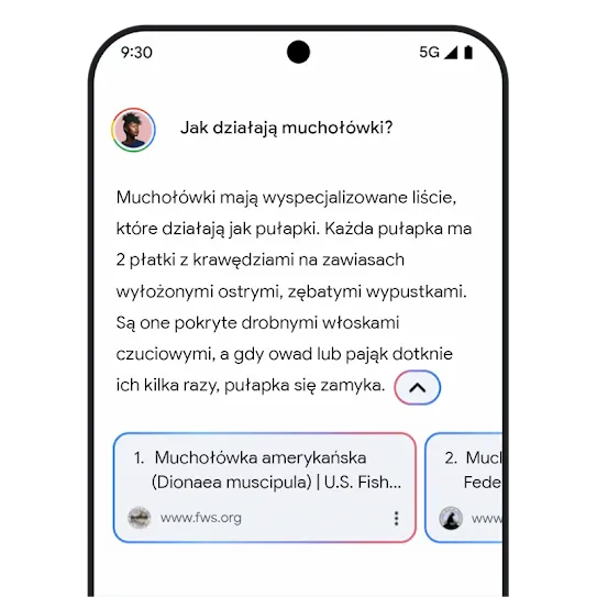 Grafika dotycząca przydatnych materiałów na temat Gemini