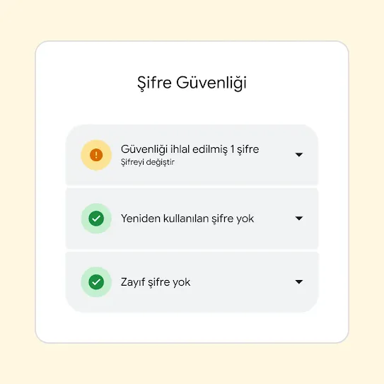 "1 şifrenin güvenliği ihlal edildi" sonucunu ve bu şifrenin değiştirilmesi önerisini gösteren Şifre Güvenliği arayüzü