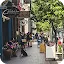 A busy, sun-drenched sidewalk in a downtown shopping district with people walking past storefronts like "The Chocolat Bar" and "Shift Boutique," featuring lush green trees and a person sitting with a black dog.