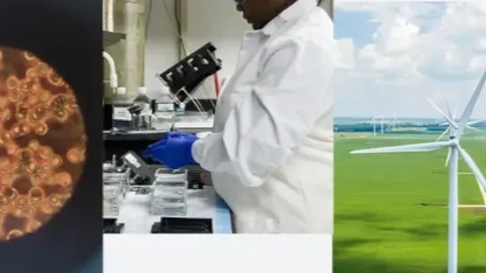 A vertical triptych collage illustrating different scientific disciplines. The left panel shows a microscopic view of cells; the center panel features a scientist in a white lab coat and blue gloves working in a laboratory; the right panel shows an aerial view of a wind turbine in a green field under a cloudy sky. The image represents a Google.org initiative for AI in science.