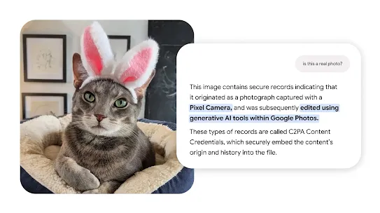 A cat wearing bunny ears next to a C2PA Content Credentials pop-up explaining the photo was edited with generative AI.