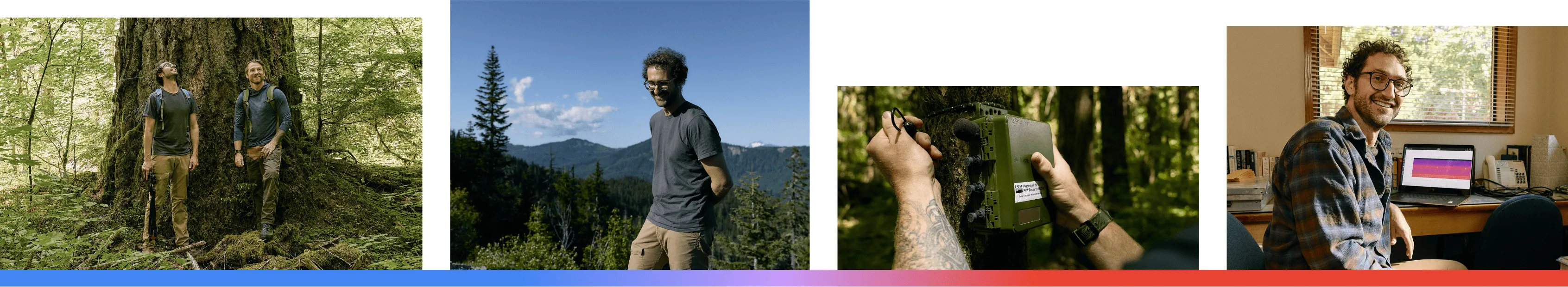 A composite of four images featuring Matthew Weldy, a researcher in Oregon, showing him exploring old-growth forests, a scenic view of the Pacific Northwest landscape, the deployment of acoustic sensors for wildlife monitoring, and Weldy using Google’s Perch AI model to analyze millions of hours of forest audio data.