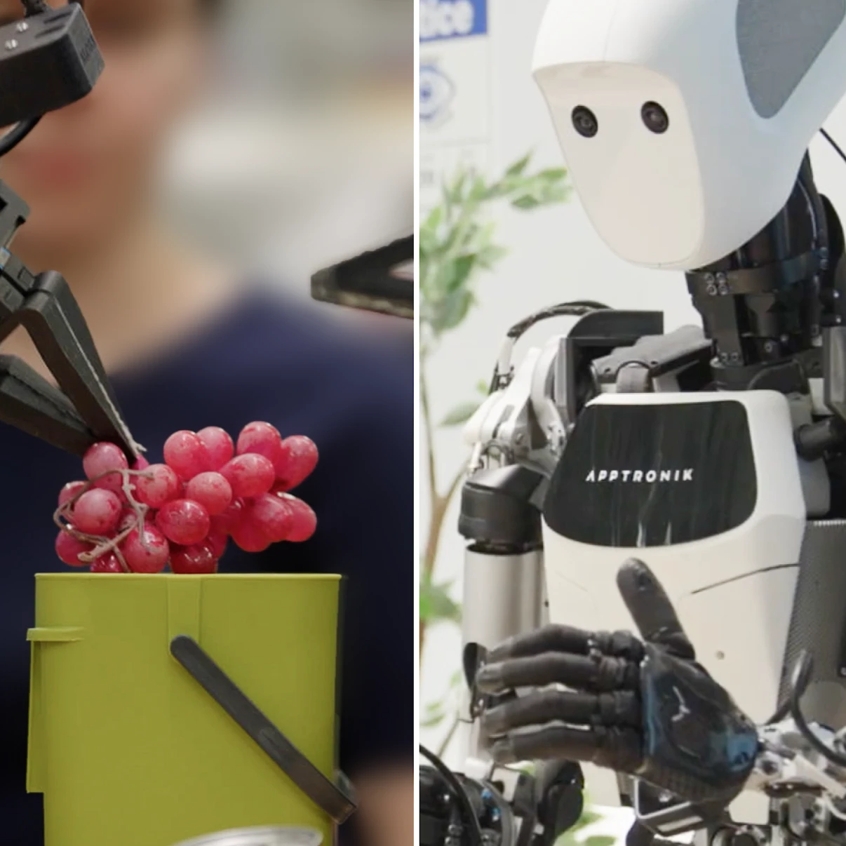 A triptych image of different robot types completing tasks of varying complexity, such as sorting, tidying and planning.