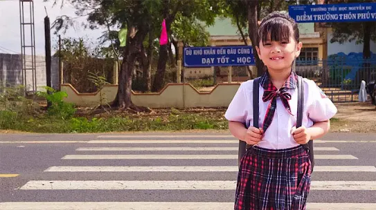 iRAP - International Road Assessment Program