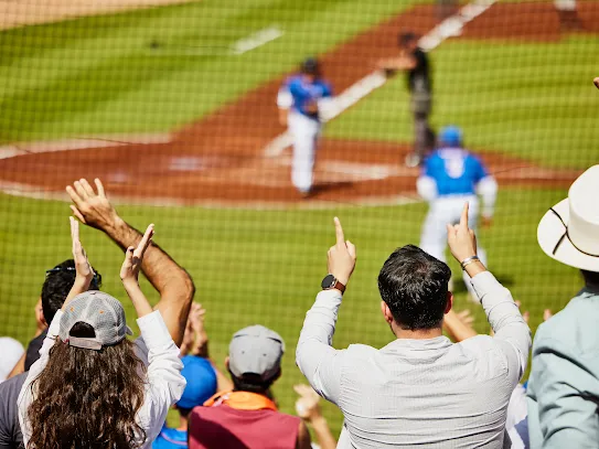 Fans enjoying a baseball game.