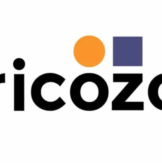 bricozor.webp
