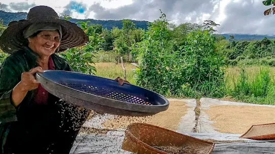 Grow with Google tools - my 1