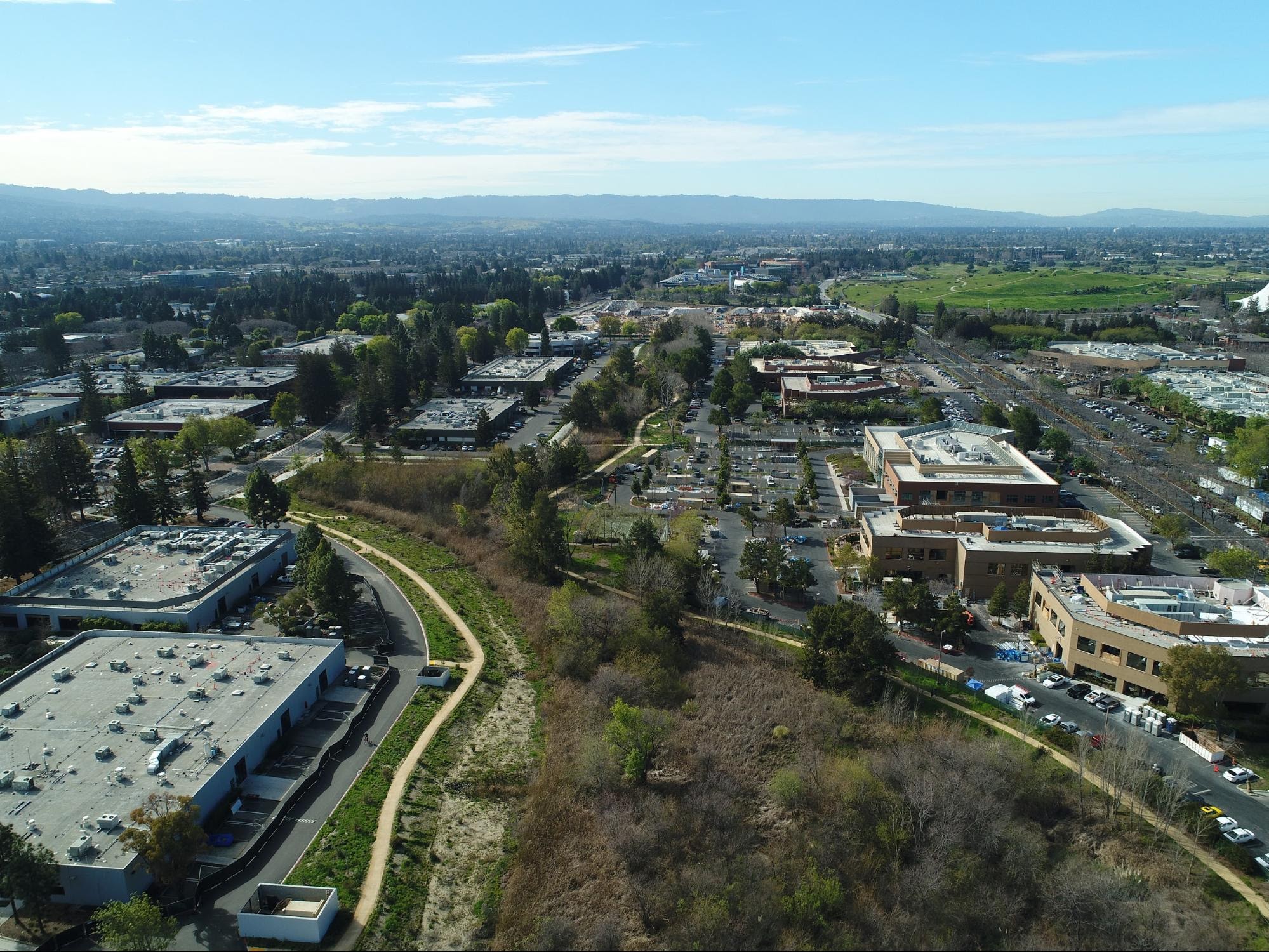 Overview photo of riparian habitat.
