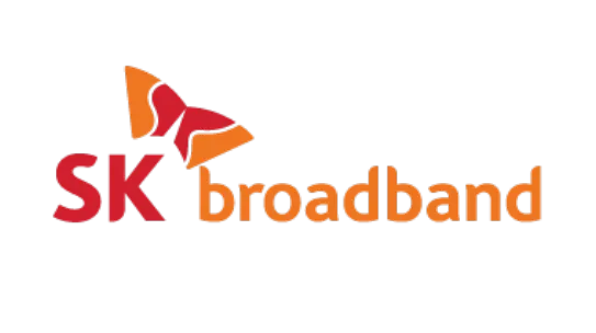 SK broadband