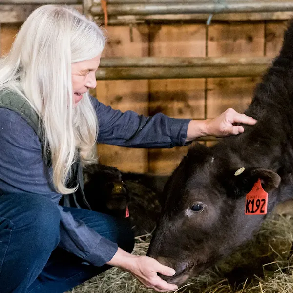 vermont-wagyu-image-hr.webp