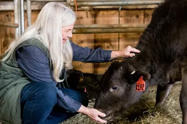 vermont-wagyu-image-hr.webp