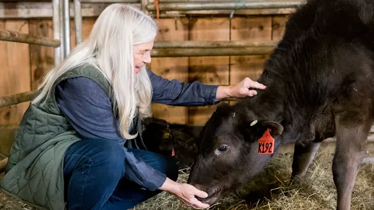 Image of Vermont Wagyu, a small business in Springfield, Vermont