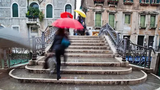 Walks of Italy boosts revenue and ROI with data-driven attribution and automated bidding