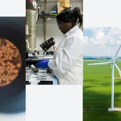 a collage of images including a laboratory, a greenhouse and a researcher