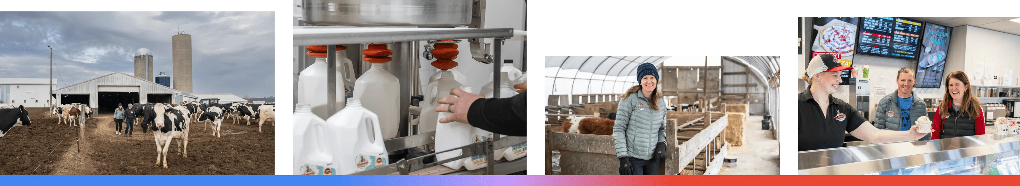 A composite of four images featuring Hansen’s Dairy in Hudson, Iowa, showing their herd of Holstein cows on the family farm, the high-speed milk bottling process, a portrait of a family member in the calf barn, and customers being served fresh ice cream at their retail creamery.