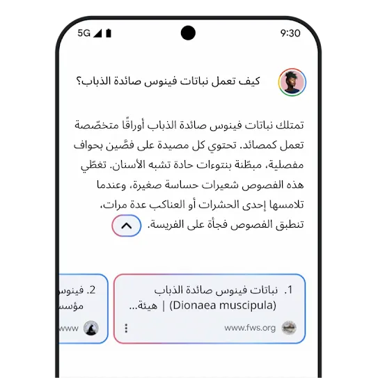 صورة لروابط ذي صلة من Gemini