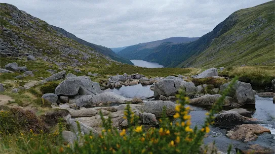 Mountain river