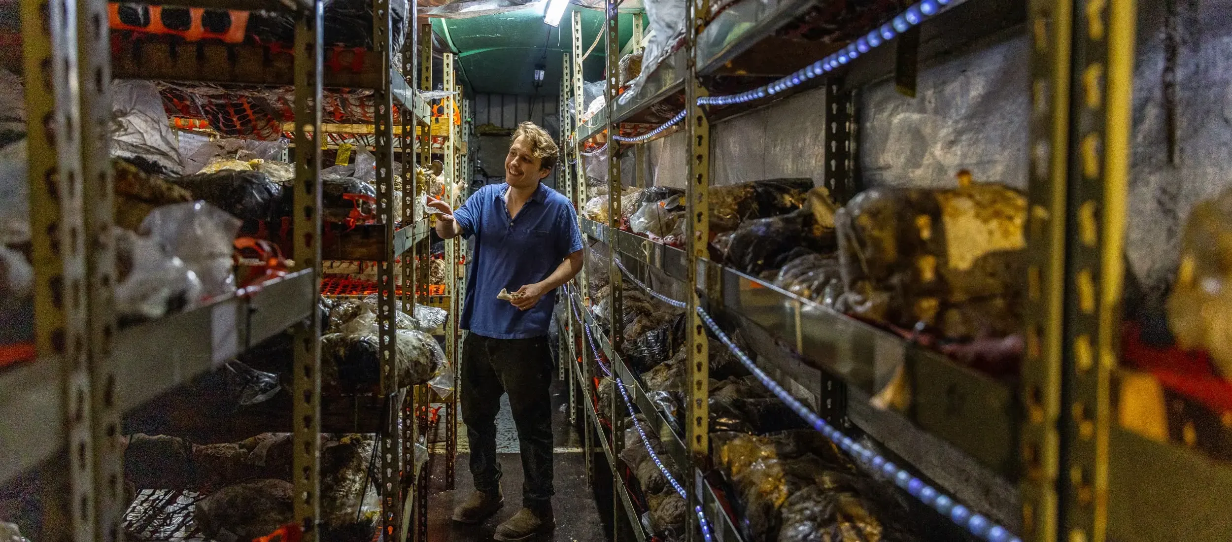 hernshaw-farms-image-hr.webp