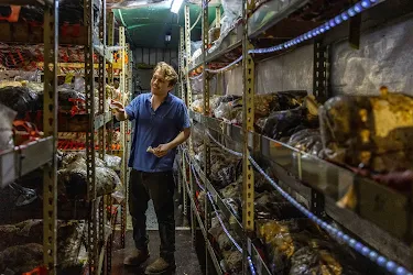 hernshaw-farms-image-hr.webp
