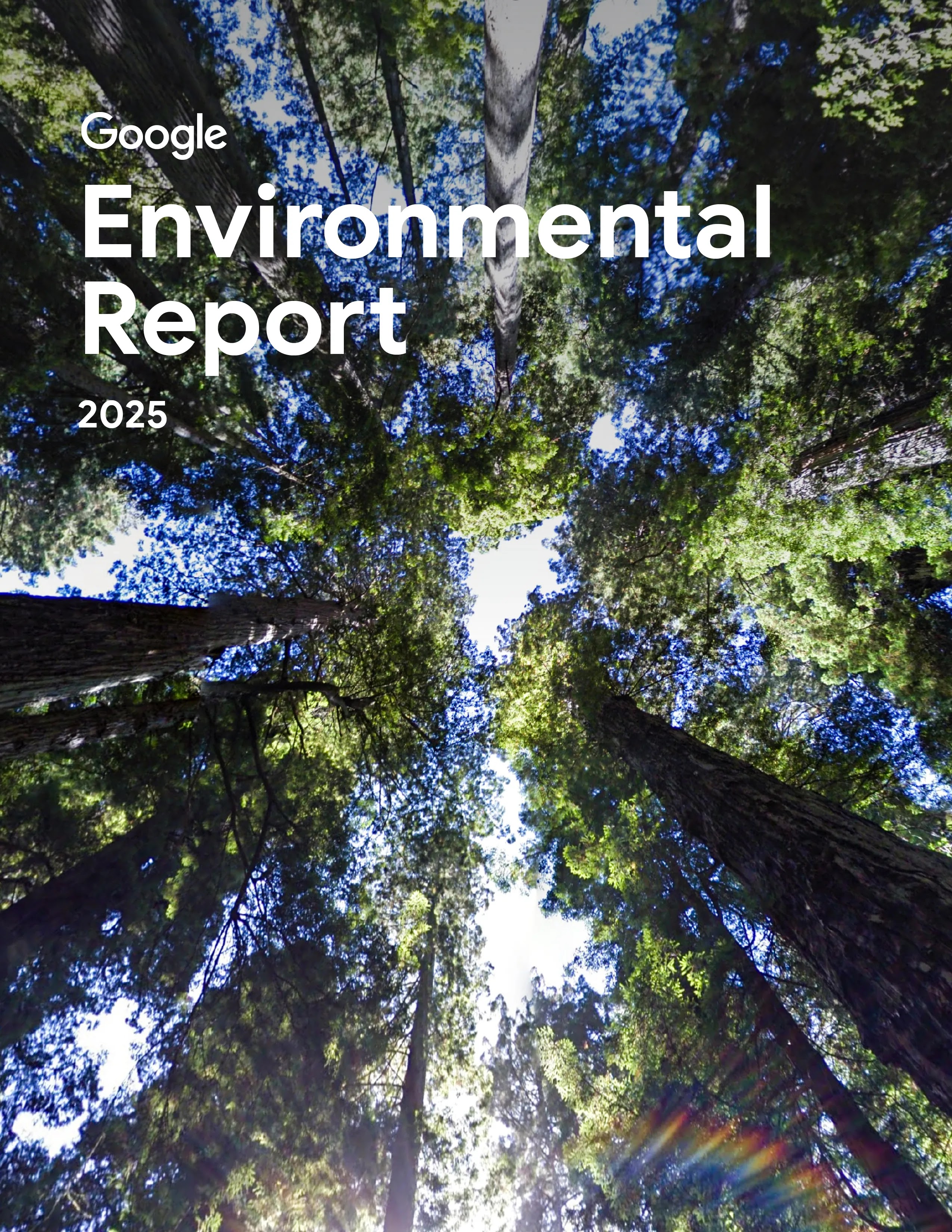 Cover image of 2025 Environmental Report