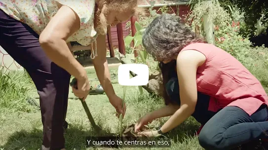 local guide impact video 3