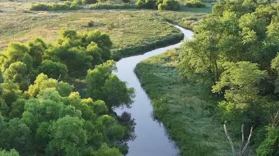 Sunrise at Brenton Slough, showing a body of water surrounded by green land and trees
