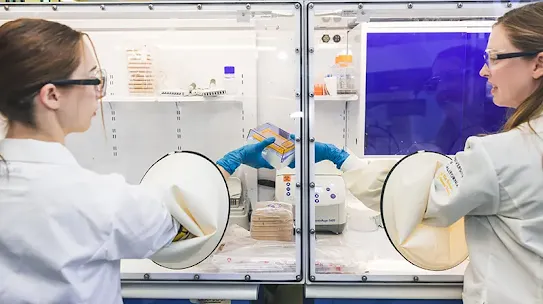 Innovative Genomics Institute