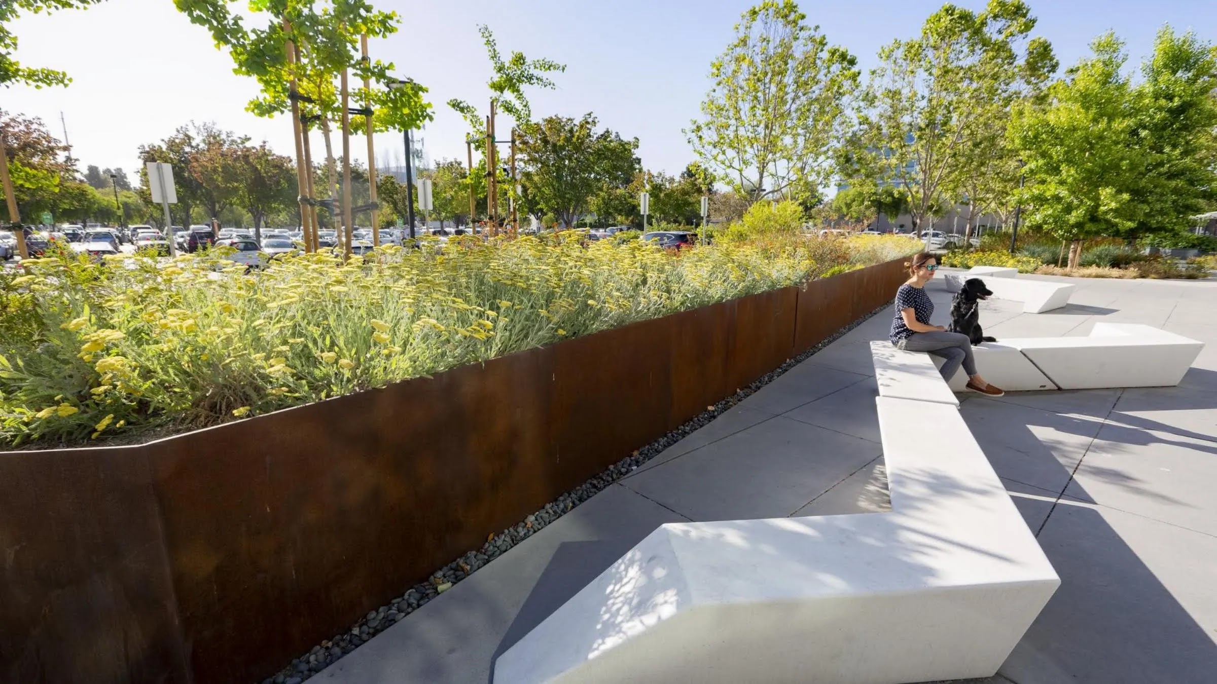 A green landscape next to an urban concrete walkway.