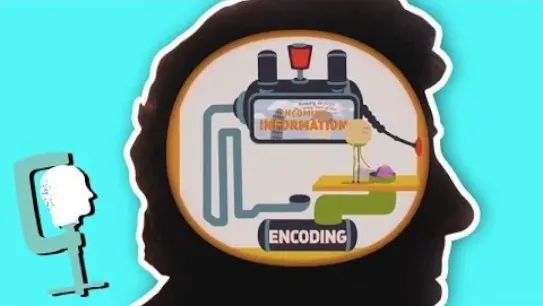 How does your memory work? | Head Squeeze 