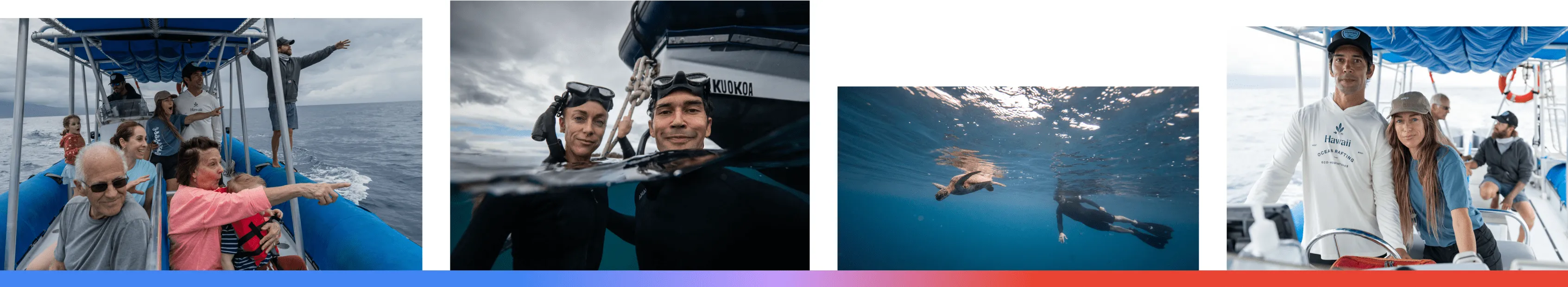 A composite of four images featuring Hawaii Ocean Rafting in Maui, showing a family on a whale-watching tour, guides in snorkeling gear by the boat, an underwater view of a sea turtle encounter, and the owners at the controls of their eco-adventure raft.