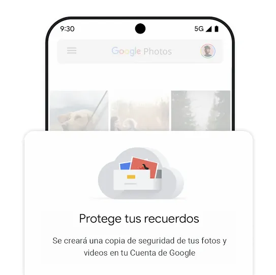 Gráfico de copia de seguridad