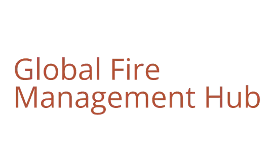 Visual identity for the the Food and Agriculture Organization of the United Nations (FAO) featuring the words Global Fire Management Hub in bright orange text.