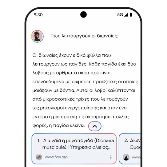 Γραφικό για τους σχετικούς συνδέσμους στο Gemini