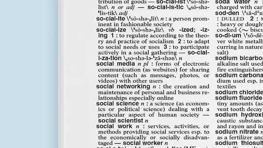 Merriam-Webster