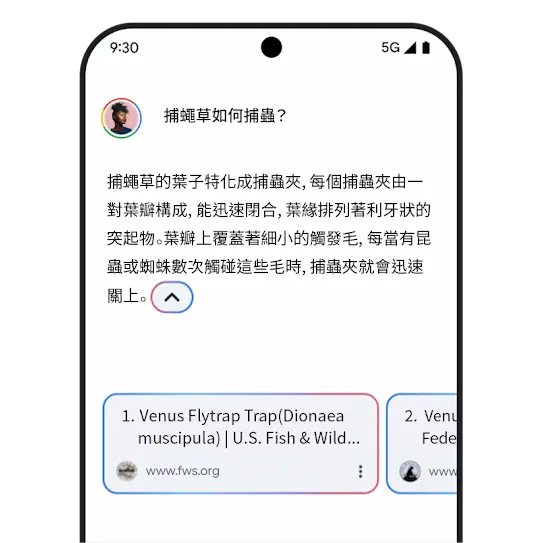 Gemini 相關連結圖片