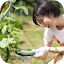 A smiling young Japanese woman wearing a white t-shirt, orange overalls, and white gardening gloves, carefully harvesting a ripe green cucumber from a vine in a sunny outdoor garden.