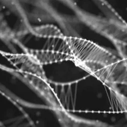 A graphic depicting DNA at the microscopic level.